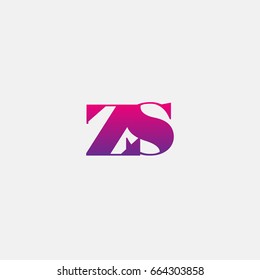 ZS Logo