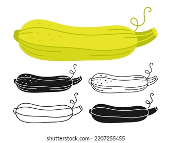 Zucchini cartoon linear icon set, doodle style, engraving silhouette. Symbol fresh vegetable marrow, organic oblong squash. Festival harvest agricultural hand drawn vegetable, courgette kitchen vector