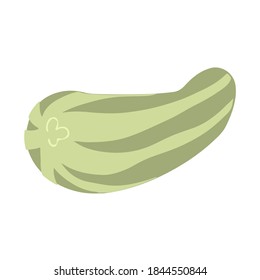 Zucchini in cartoon style. Vector image. Isolated on white