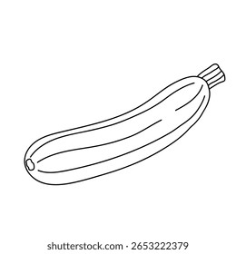 Zucchini clip art element vector. Zucchini coloring pages for kids. Trace and color zucchini. Fun activity coloring zucchini vegetable for Kindergarten and preschool.