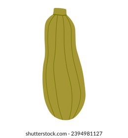 Zucchini farbige handgezeichnete Ikone, skalierbare, druckfertige Vektorgrafik im trendigen Flachstil-Design.