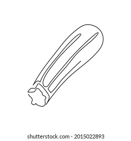 Zucchini Continuous Line Drawing. One Line Art Of Squash, Vegetable Marrow.