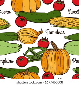 Zucchini, courgette, tomato, pumpkin, sweet corn vegetable vector color seamless pattern, hand drawn food set isolated on white background