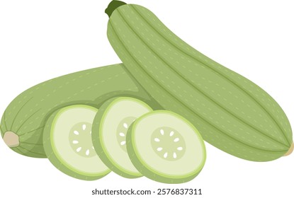 Zucchini or Courgette Vegetable Illustration Isolated on White Background	