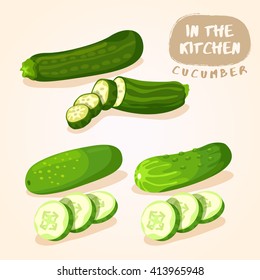 Zucchini and Cucumber : Vegetable Isolated Set : Vector Illustration