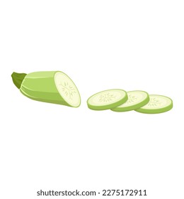 Zucchini cortó en rodajas. Ilustración vectorial en un fondo blanco.