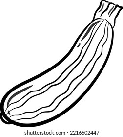 zucchini cute drawing for school flashcard sketch for coloring