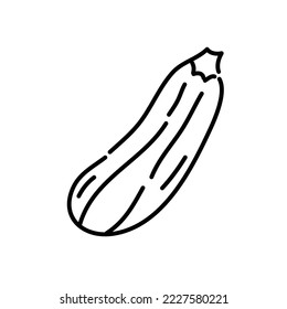 Zucchini doodle icon. Hand drawn black sketch. Vector Illustration.