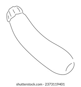 Zucchini doodle icon. Hand drawn black sketch. Vector editable stroke.