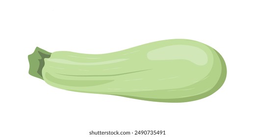 Zucchini in flat style isolated on white background