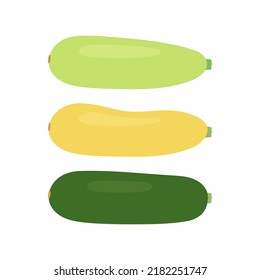 Zucchini food set, different squash. Courgette whole green, yellow and zucchini. Crop edible plant vegetable. Vector isolated illustration