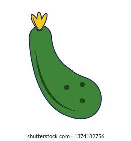 zucchini fresh vegetable blue lines