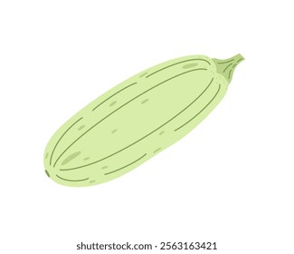 Zucchini fresh vegetable hand drawn simple doodle illustration, healthy life style organic diet, food concept, whole squash plant flat style image for menu, recepe design