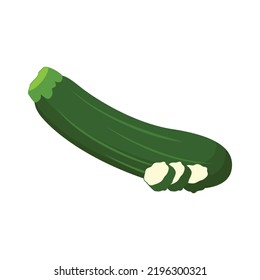 Zucchini Fruit Flat Design Vector Illustration Isolated on a White Background.