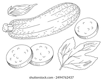 Zucchini graphic black white isolated sketch illustration vector
