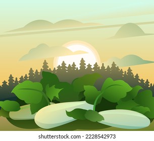 Zucchini está maduro. Bosque de coníferas. Paisaje rural de verano. Jardín con verduras. Espesor de hierbas. Estilo divertido de caricatura. Diseño plano. Vector