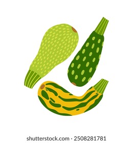 Zucchini hand drawn flat vector illustration. Fresh vegetable squash print for kitchen, menu, food package design. Healthy cute organic product.