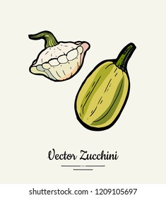 Zucchini – hand drawn illustration. Hipster illustration of squash. Isolated green zucchini for vegetarian poster, cooking school, restaurant menu, banner, logo, icon, food shop, harvest 
festival.