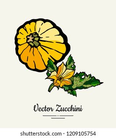 Zucchini – hand drawn illustration. Hipster illustration of squash. Isolated green zucchini for vegetarian poster, cooking school, restaurant menu, banner, logo, icon, food shop, harvest 
festival.