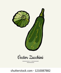 Zucchini – hand drawn illustration. Hipster illustration of squash. Isolated green zucchini for vegetarian poster, cooking school, restaurant menu, banner, logo, icon, food shop, harvest 
festival.