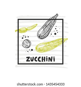 Zucchini. Hand drawn realistic vector illustration. Organic vegetable. Eco food. Farm market product. Isolated white background. Can be used for shop, menu, card, poster, label