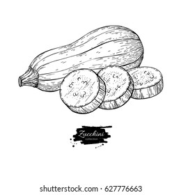 Zucchini hand drawn vector illustration. Isolated Vegetable engraved style object with sliced pieces. Detailed vegetarian food drawing. Farm market product. Great for menu, label, icon