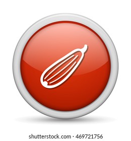 Zucchini icon