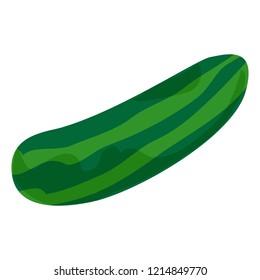 Zucchini icon. Cartoon of zucchini vector icon for web design isolated on white background