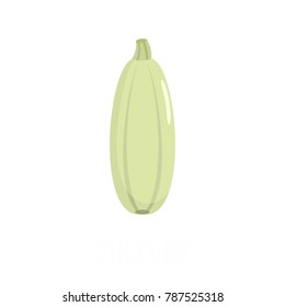 Zucchini icon. Flat illustration of zucchini vector icon isolated on white background