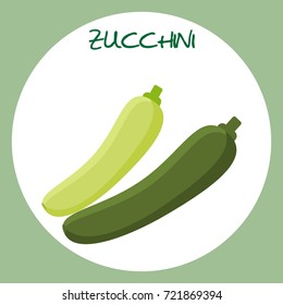  Zucchini icon in flat style. Vector illustration