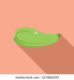 Zucchini icon flat vector. Eco farm. Ecology agronomy