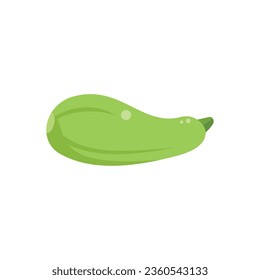 Zucchini icon flat vector. Eco farm. Ecology agronomy isolated