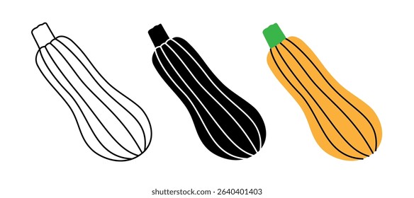 Zucchini icon set. Fresh organic vegetable symbol for kitchen, menu, food package design. Vector illustration