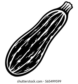 Zucchini Illustration