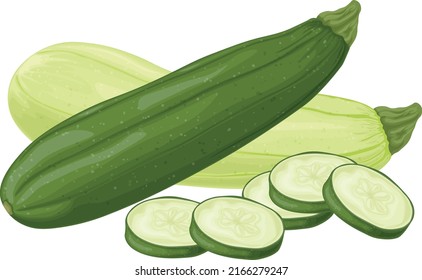 Zucchini. Imagen de zucchini rebanado. Verduras vegetarianas del jardín. Hortalizas de granja. Ilustración del vector aislada en un fondo blanco