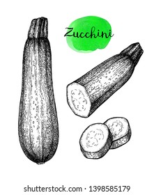 Zucchini. Ink sketch isolated on white background. Hand drawn vector illustration. Retro style. 