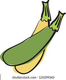  zucchini isolated