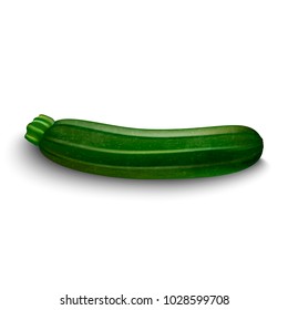 Zucchini isolated on white background. Vector illustration.