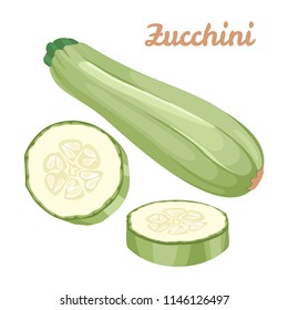 Zucchini isolated on white background. Vector illustration of fresh vegetable in flat style. Squash whole, and chopped.