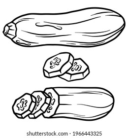 Zucchini aislado de fondo blanco. Zucchini completo y tajada. Ilustración de contorno dibujada a mano del vector. Ingrediente para cocinar. Cosecha. Hortalizas de granja.	
