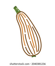 Zucchini isolated on white background. Hand-drawn vector illustration in doodle style. Perfect for cards, logo, autumn and holiday designs, decorations.
