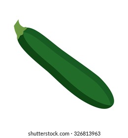 Zucchini isolated on white background. Vector illustration. Flat design