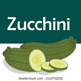zucchini juicy vector illustration with section, beautiful square background design