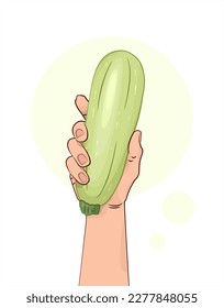 Zucchini light green. Zucchini in hand. A vegetable in a human hand. Healthy food. Isolated vector illustration white background. Green vegetable.