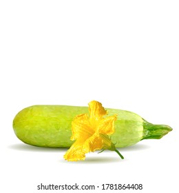 A zucchini low poly. Fresh, nutritious, tasty green zucchini. Elements for label design. Vector illustration. Vegetables in triangulation technique. 