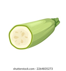 zucchini marrow vegetable cartoon. vegetable agriculture, plant green, fresh squash, nature raw, healthy, vegetarian courgette zucchini marrow vegetable vector illustration