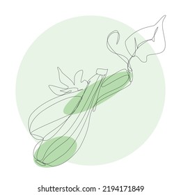 Zucchini or marrow vegetable in continuous line with colorful geometric elements. Zucchini or marrow minimalist black linear sketch  with color spots isolated on white background. Vector one line