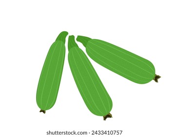 zucchini on a white background.