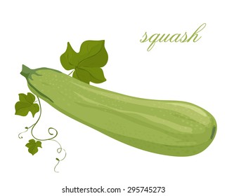 zucchini on a white background