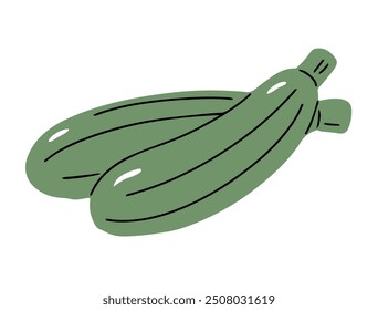 Zucchini on white background. Green vegetable. Healthy eating and diet. Natural vegetarian product with vitamins. Farm harvest. Cooking ingredient. Icon sign. Flat vector isolated illustration